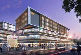 武进区绿植租赁销售