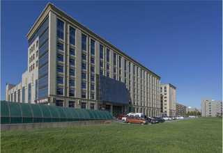 普陀区 公寓绿植租赁